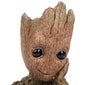 BABY GROOT FLOWERPOT